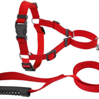 Nylon No-pull Dog Harness & Leash Set,Front Lead for Easy Training,Walking