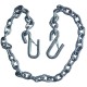 chain with S hooks on both ends