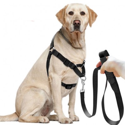 Nylon No-pull Dog Harness & Leash Set,Front Lead for Easy Training,Walking